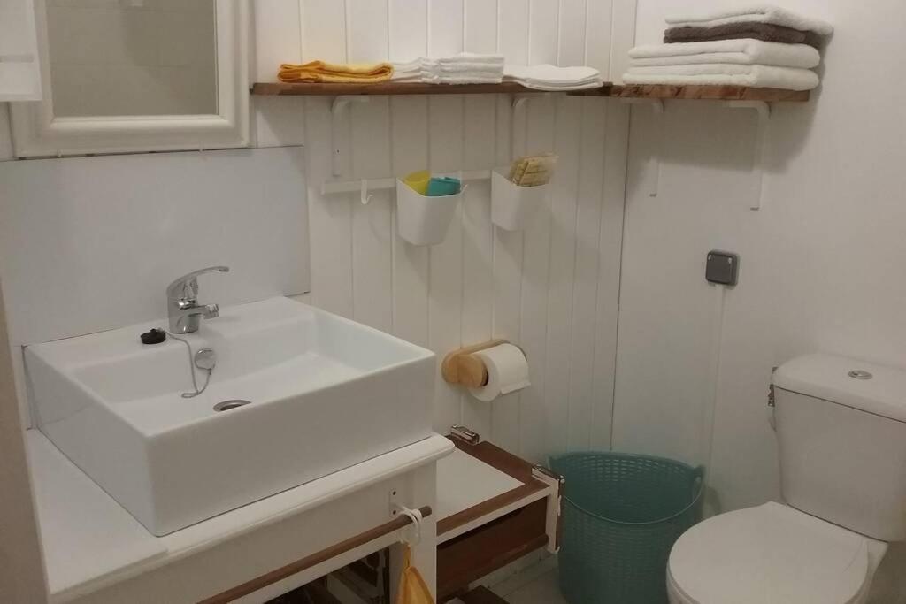Gite Cajou Dans Jardin Tropical Ventile A Sainte-Anne Εξωτερικό φωτογραφία