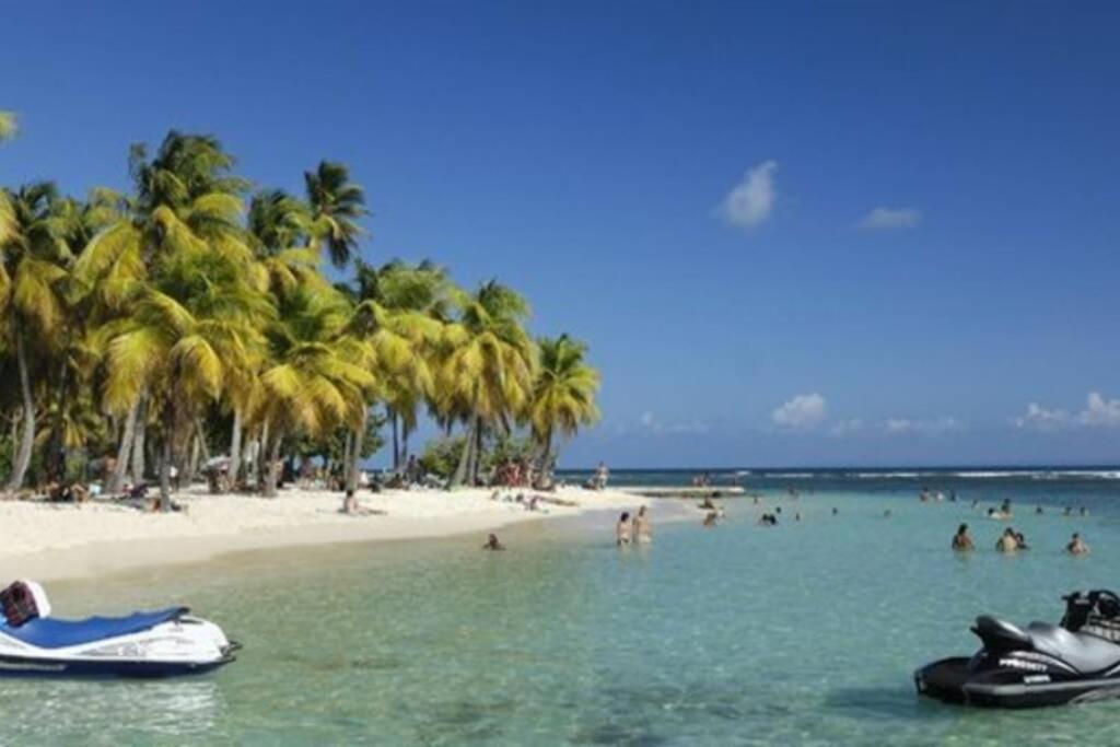 Gite Cajou Dans Jardin Tropical Ventile A Sainte-Anne Εξωτερικό φωτογραφία