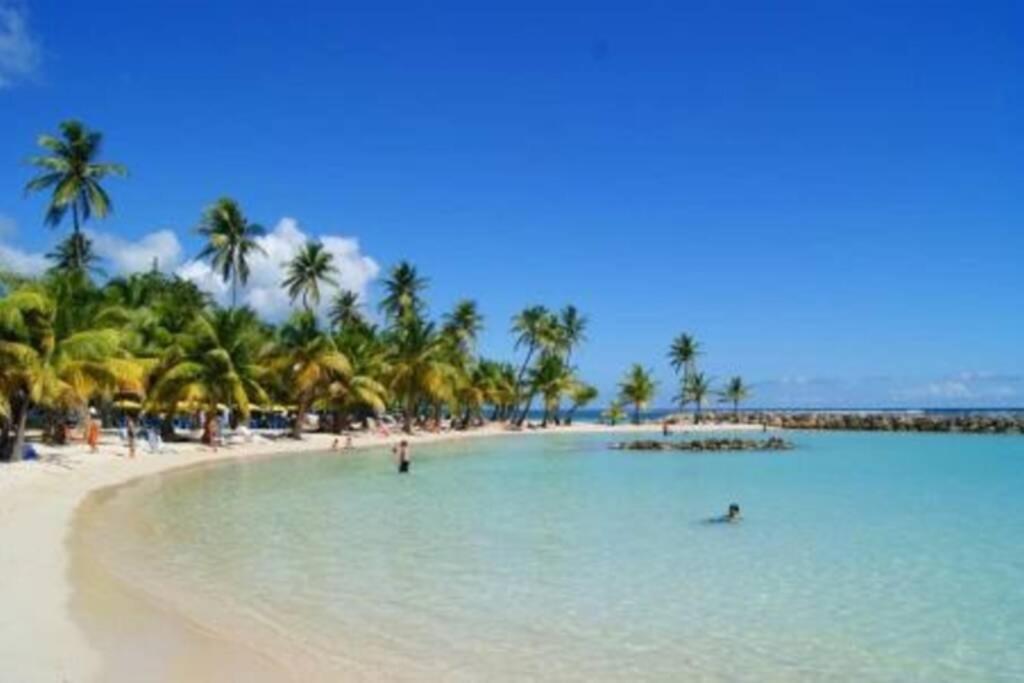 Gite Cajou Dans Jardin Tropical Ventile A Sainte-Anne Εξωτερικό φωτογραφία