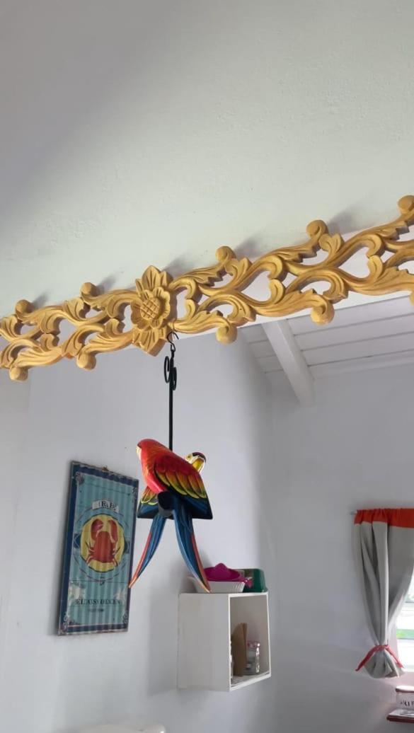 Gite Cajou Dans Jardin Tropical Ventile A Sainte-Anne Εξωτερικό φωτογραφία