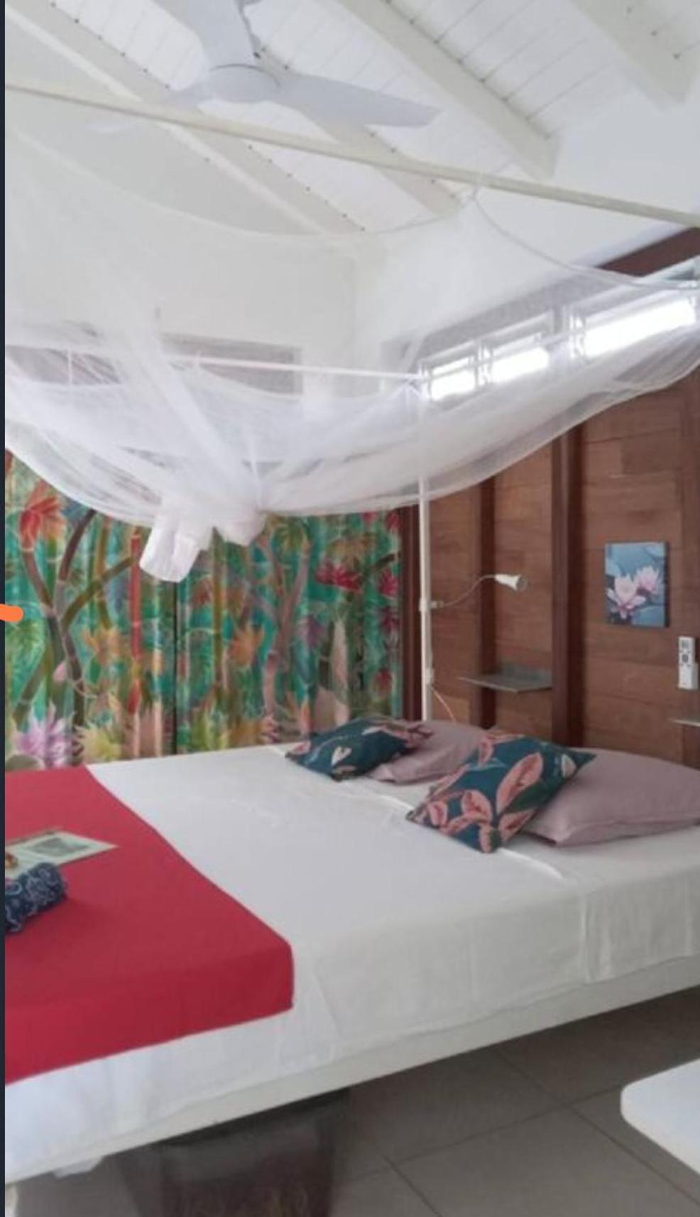 Gite Cajou Dans Jardin Tropical Ventile A Sainte-Anne Εξωτερικό φωτογραφία