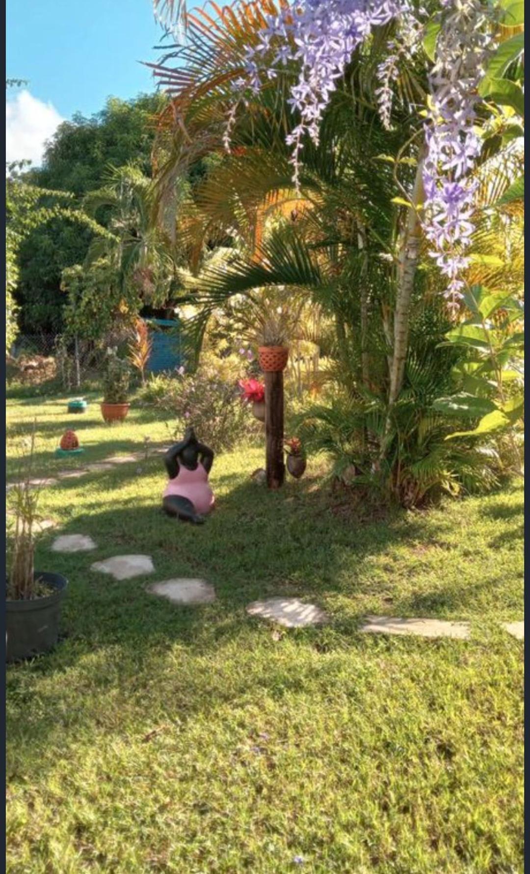 Gite Cajou Dans Jardin Tropical Ventile A Sainte-Anne Εξωτερικό φωτογραφία