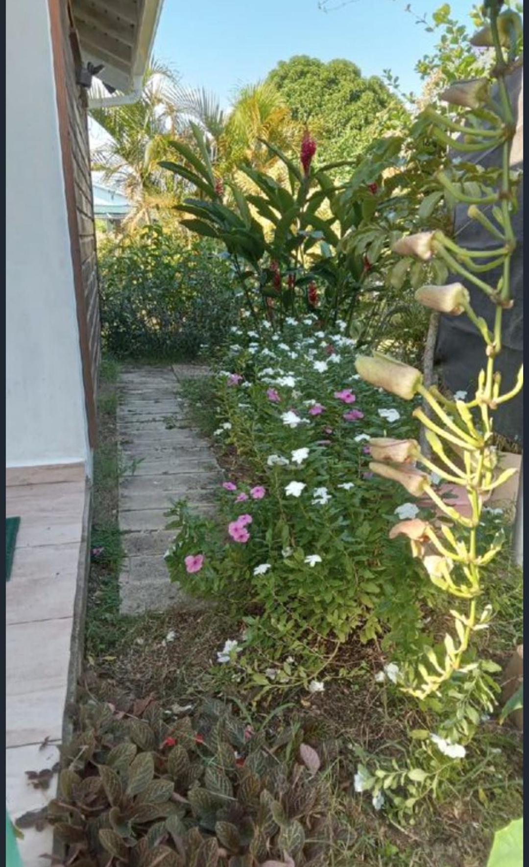 Gite Cajou Dans Jardin Tropical Ventile A Sainte-Anne Εξωτερικό φωτογραφία